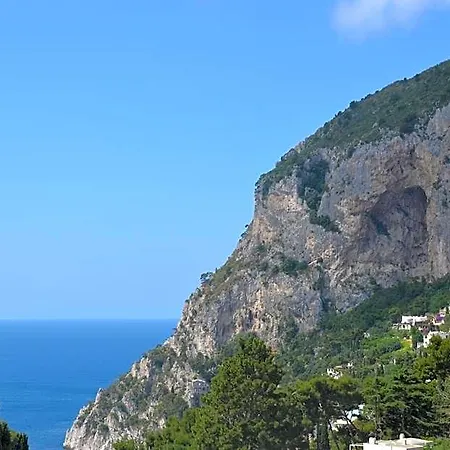 Guarracino