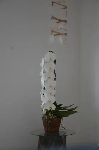 Guarracino מלון קאפרי